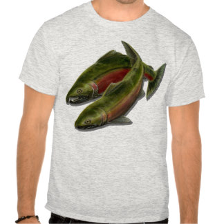 salmon cookie t-shirt